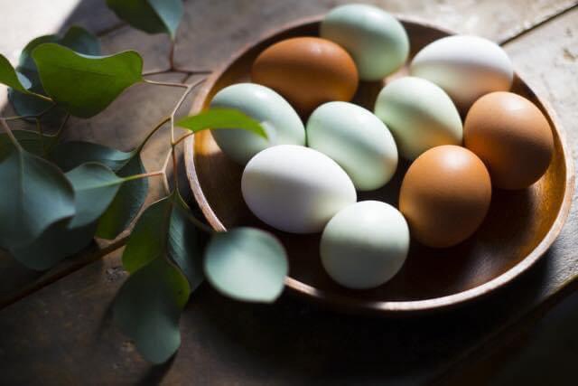 雞蛋、土雞蛋、溏心蛋、生蛋、茶葉蛋、皮蛋，我們都吃對了嗎？
