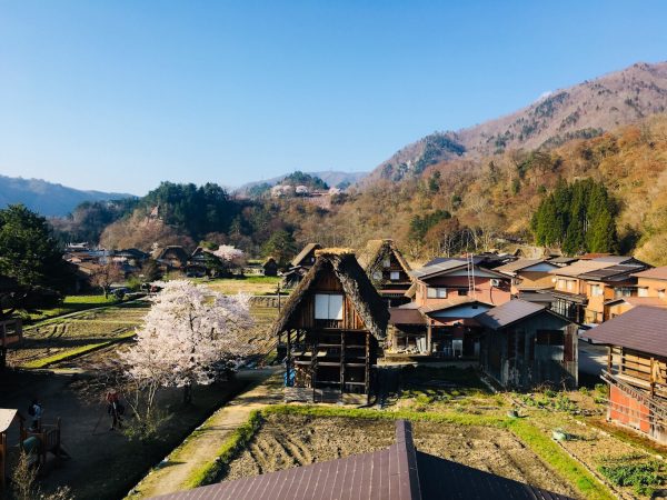 立夏養生｜夜臥早起、最宜養心