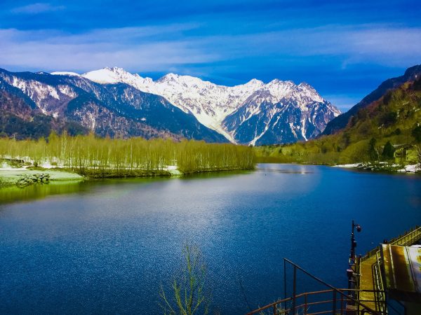 夏季養生，吃什麼最適合