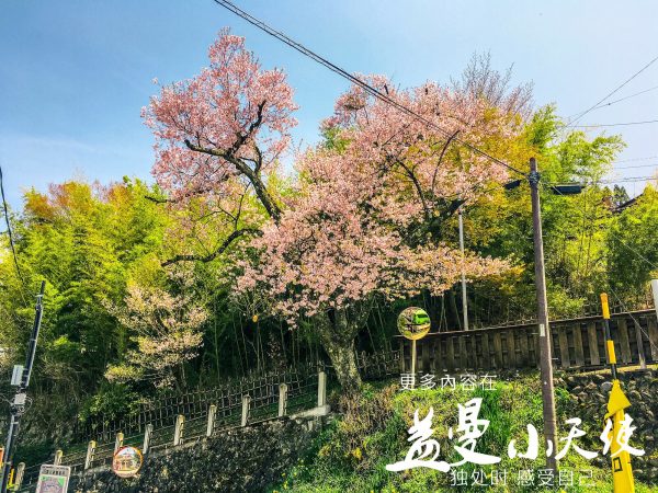 夏天養生的禁忌