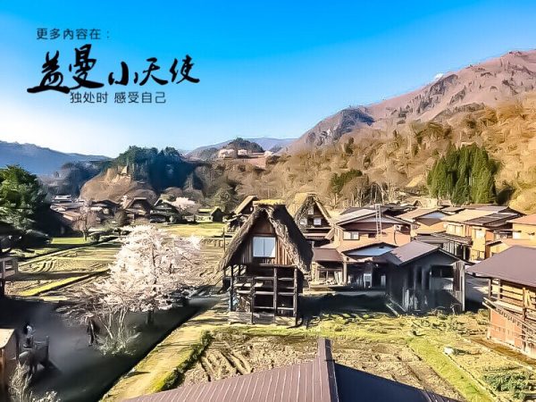 夏日炎熱飲食不振，多汗代謝旺，節氣芒種、夏季養生建議